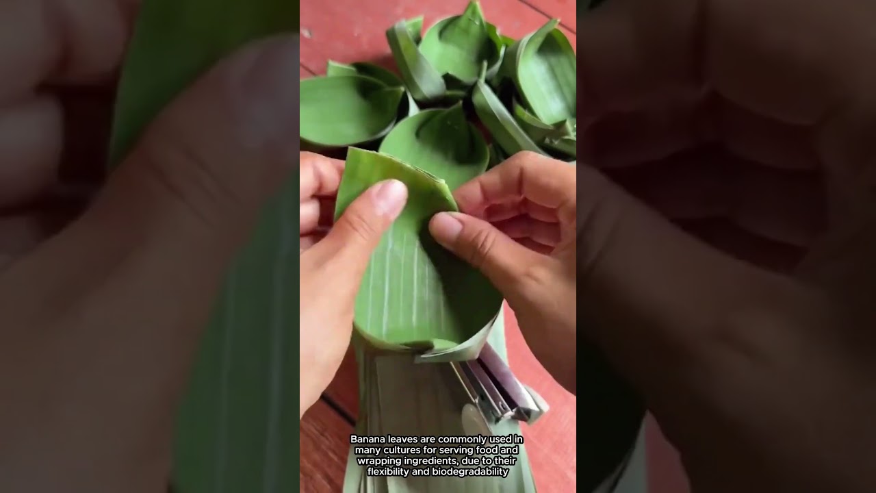 Green Banana Leaf Bowl Creation