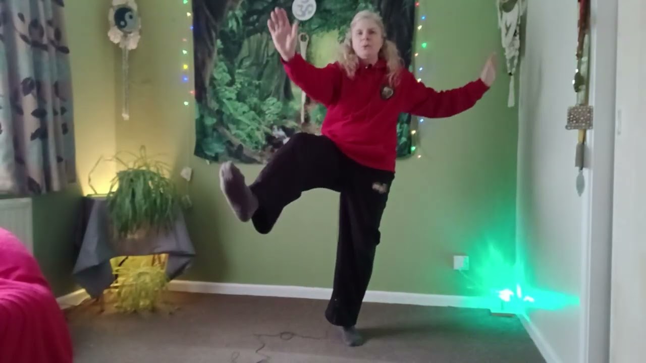 Turn and kick with left heel, yang short form 