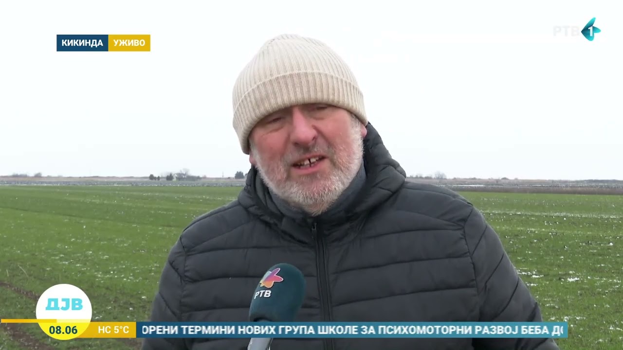 Koliko je sneg prijao žitaricama?