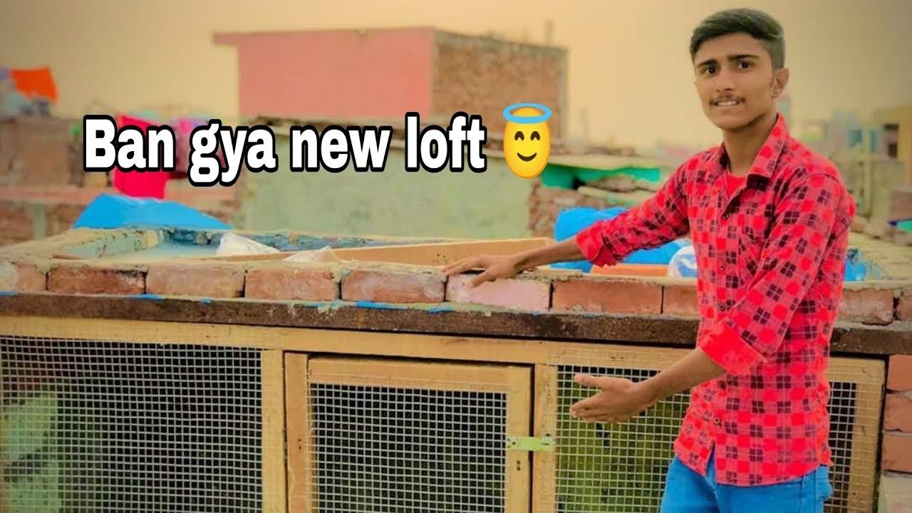 Ban gya hamara new loft || kabutar ka naya ghar kaise bnaye || by prahlad