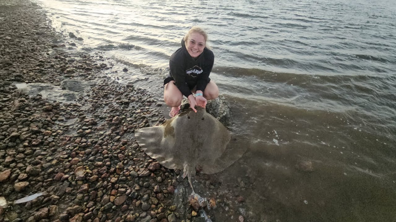 Diamond Stingray #2 - Breede River