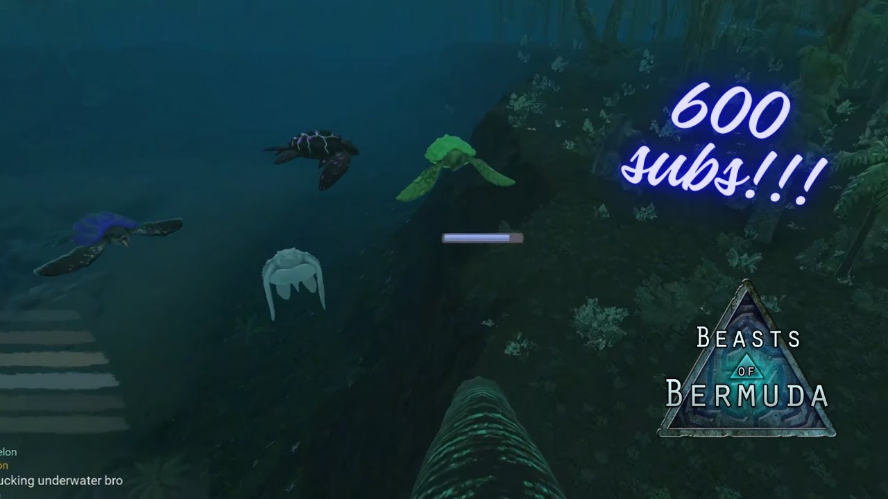 600 Subscriber Special!!! - Beasts of Bermuda