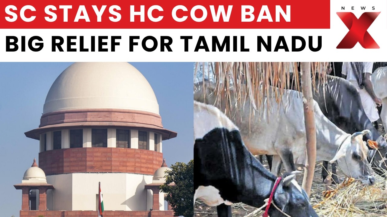 Supreme Court: Why Did SC Stay Madras HC's Cow Slaughter Ban Order In Tamil Nadu? | NewsX