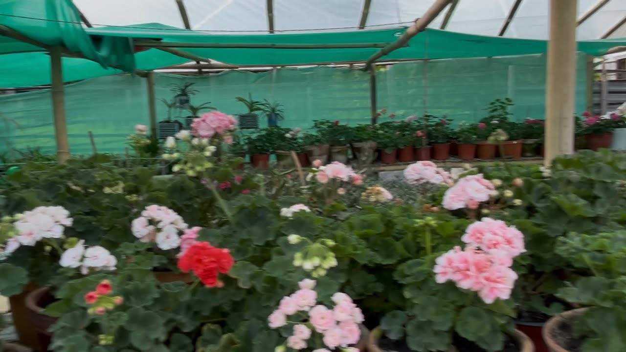 NIRVAN nursery visit