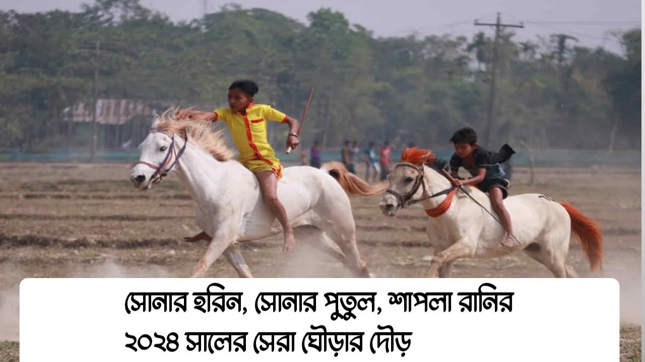 Sunar Horin Vs Sunar Puthul Vs Shapla Rani সোনার হরিন, সোনার পুতুল, শাপলা রানির ২০২৪ সালের সেরা দৌড়