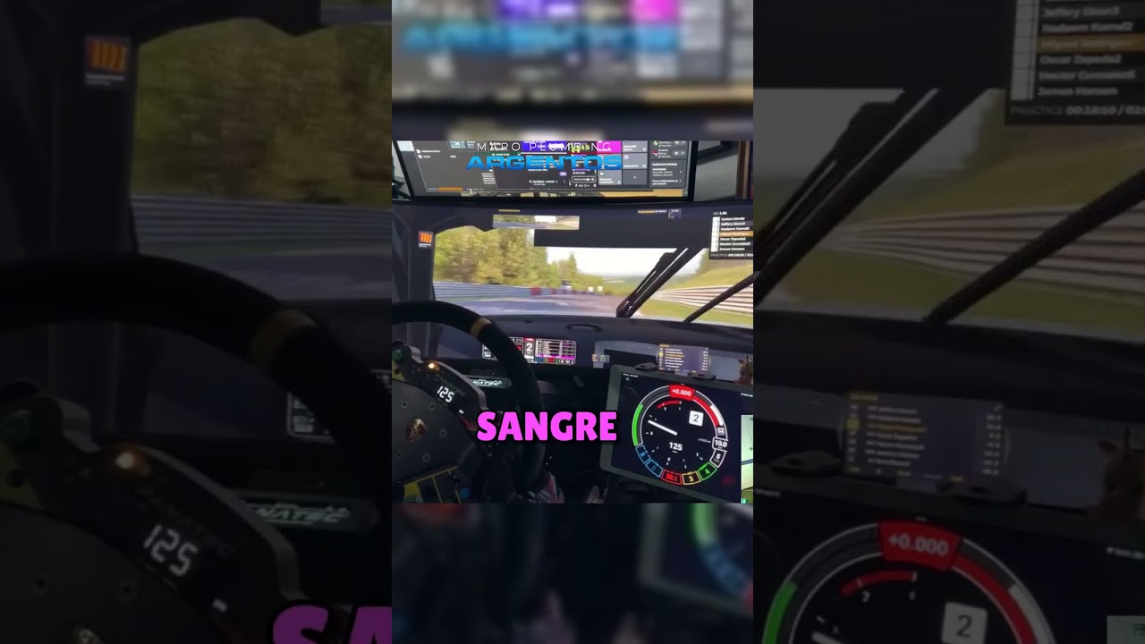 ¡Sangre de perro! La locura de Ruling en iRacing 