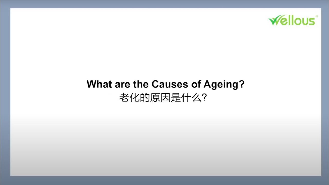 【Wellous】 Dr. Amir - What are the causes of ageing