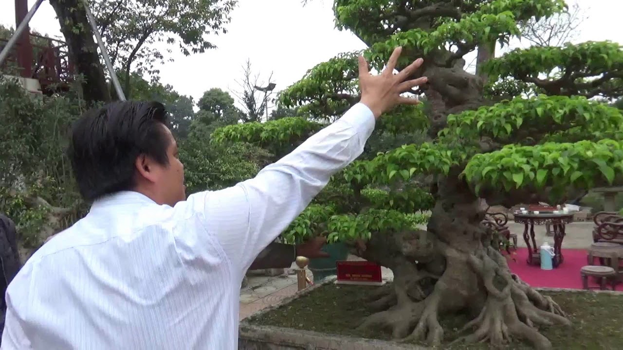 CHIA SẺ TRỰC TIẾP QUÁ TRÌNH TẠO TÁC CÂY DẤU ẤN THỜI GIAN