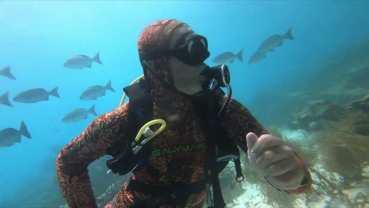Diving from Sailing Catamaran - Los Roques - Venezuela
