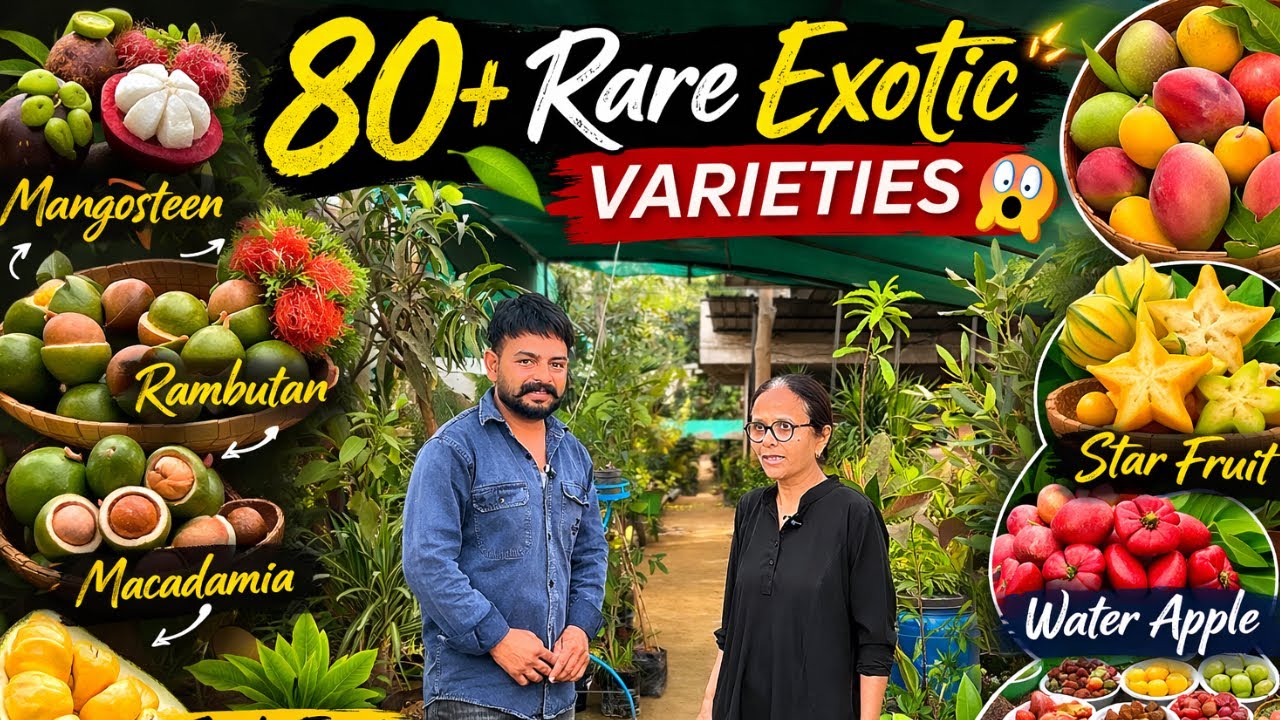 India में Exotic Plants का खजाना 🌱 | 80+ Rare Plants लेकर गईं | Doctor Geeta Badwa Experience