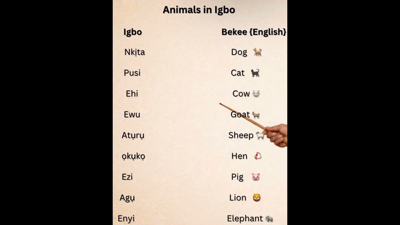 AHA ỤMỤANỤMANỤ N’IASỤSỤ IGBO. #igboculture #learning #igboforbeginners #igbodiaspora #igboamaka #fyp