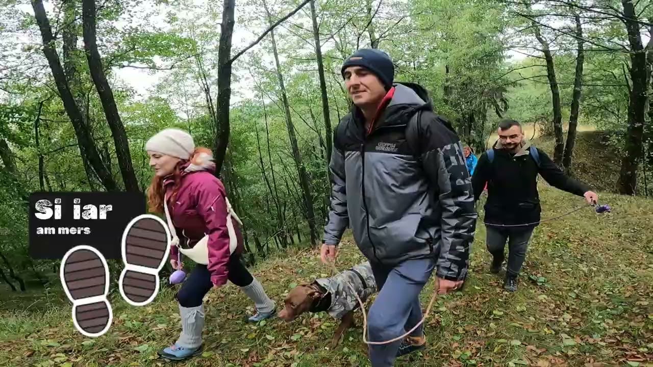 Glamping Yoolia's Pack 2025