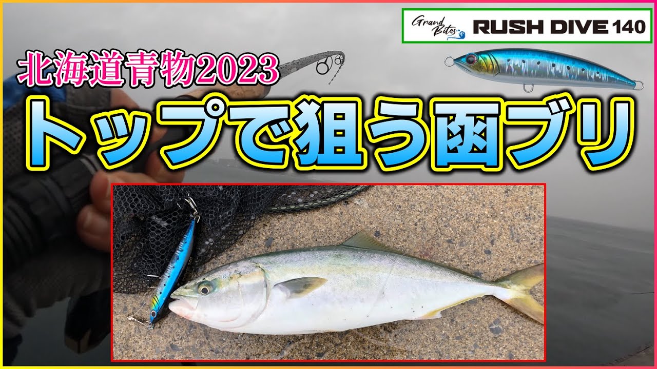 【北海道青物2023】函館：外海が荒れた日の湾内で、釣りド素人トップで函ブリを狙う！＜1日目＞