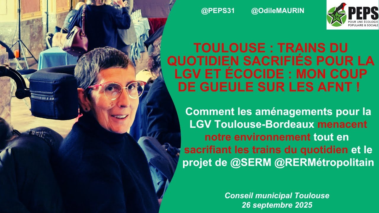Toulouse : trains du quotidien sacrifiés pour la LGV et écocide : mon coup de gueule sur les AFNT !