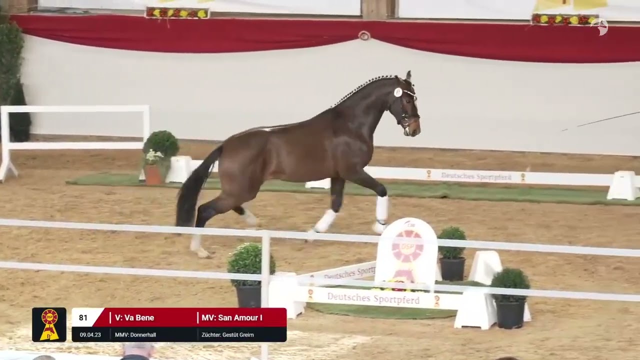 Lot 81 v. Va Bene / San Amour I