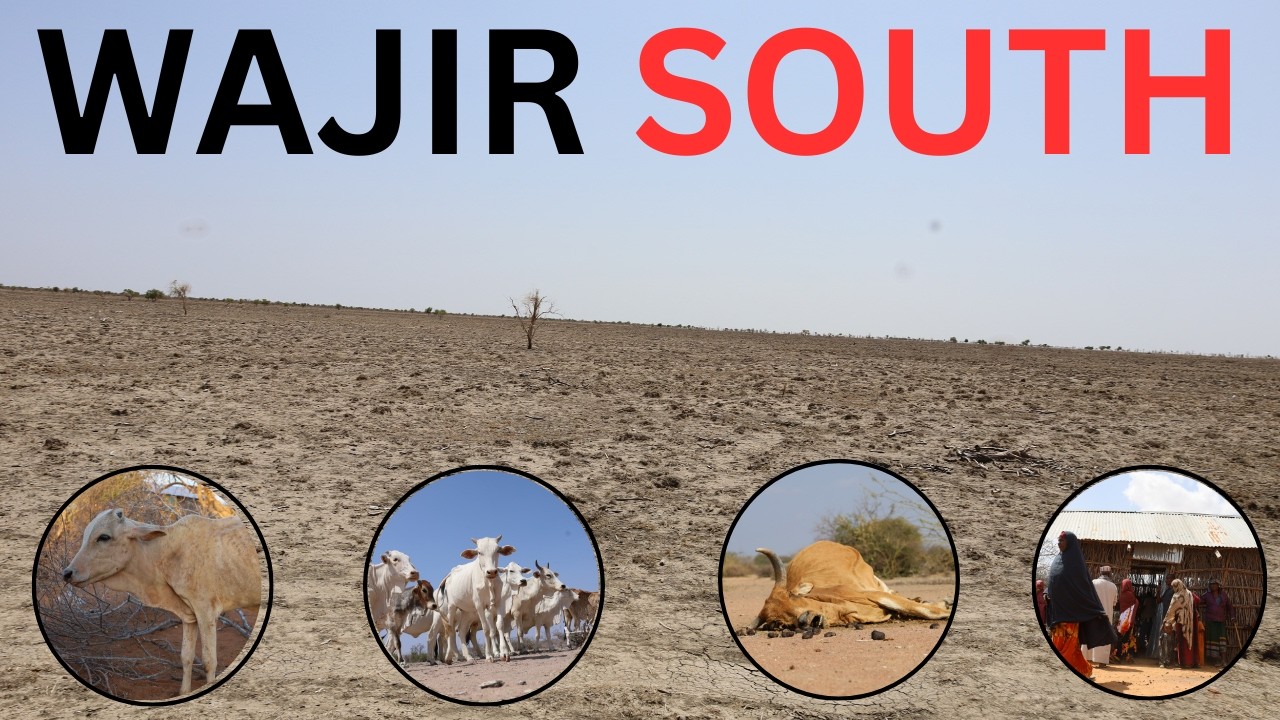 XALADAHA ABAREED EE KAJIRA KONFURTA WAJIR IYO DHAQ DHAQAQI HAYADA MUSLIM AID AUSTRALIA