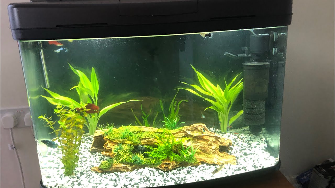 My Tropical Tank - Interpet 64L Fish Box