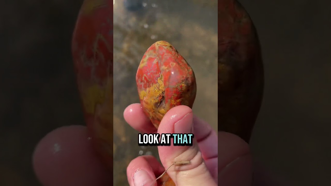 River hounding in SW Washington #rockhound #rockhounding #pnw #river #washington #agates