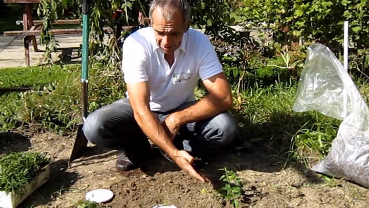 Logissol O au jardin