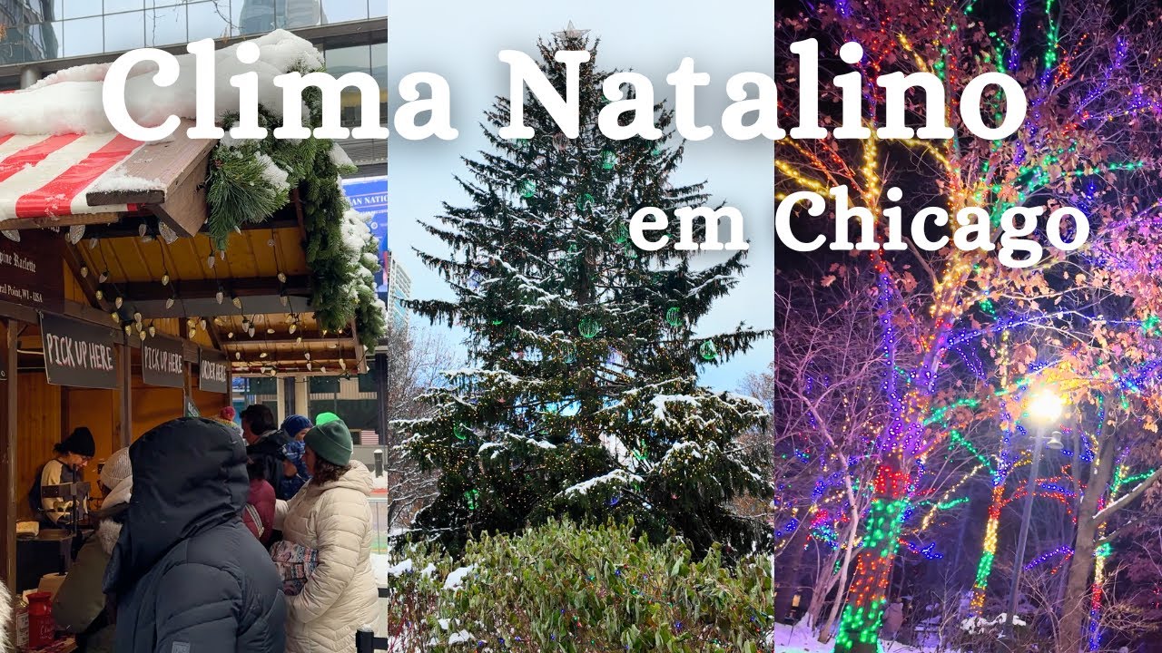 Passeios natalinos em Chicago | Christkindlmarket, Millennium Park e ZooLights