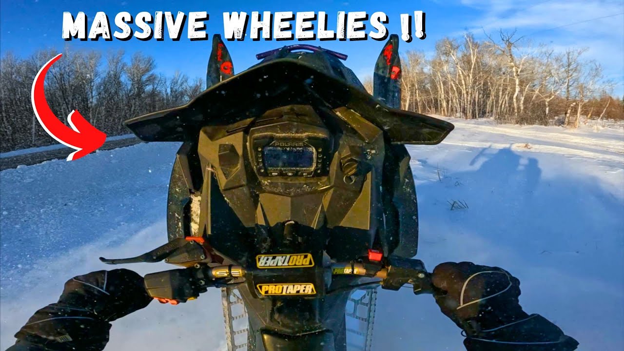 Cat Tail Busting WHEELIES and JUMPS!! Polaris Assault 800!