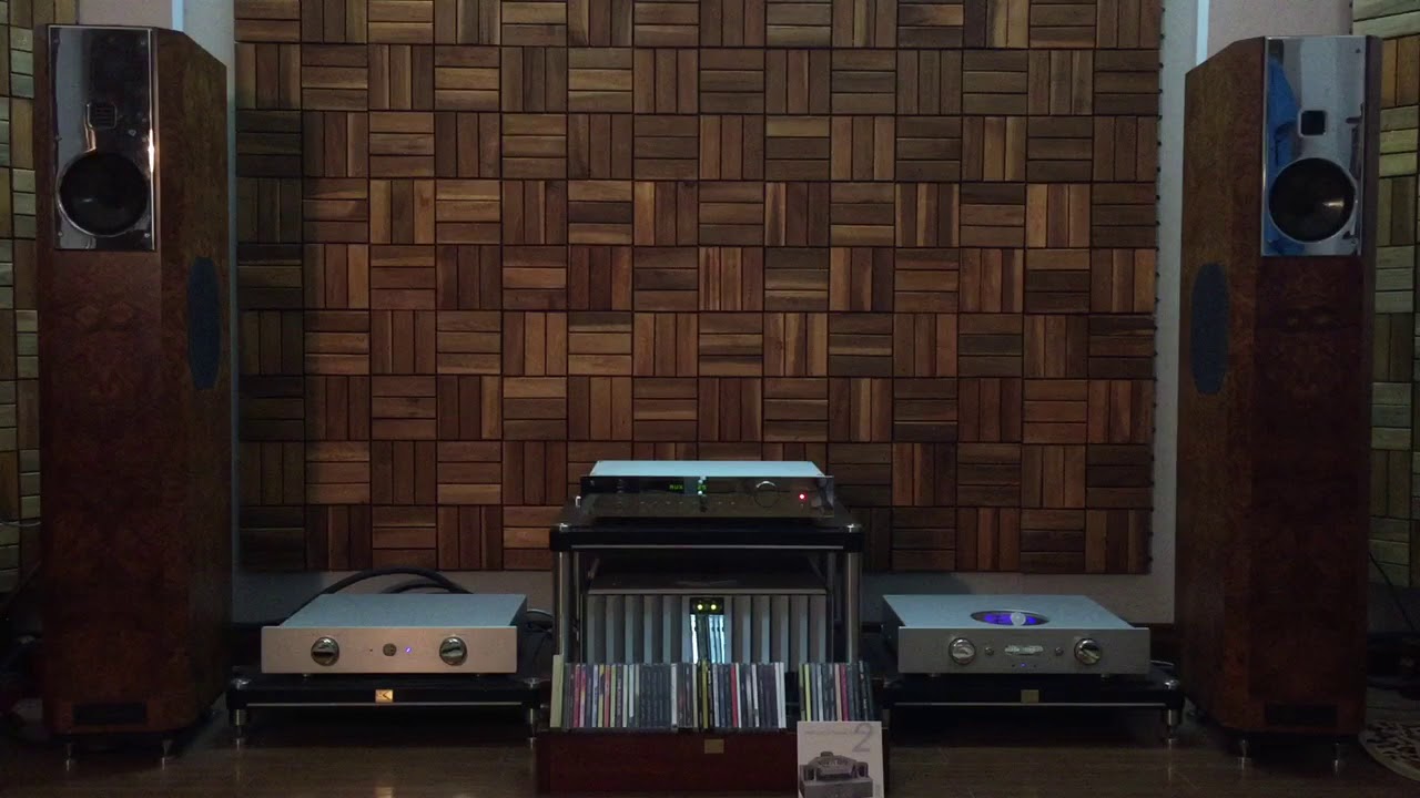 10 Matthijs Dekker-Soundfield micropphone-C.E.C