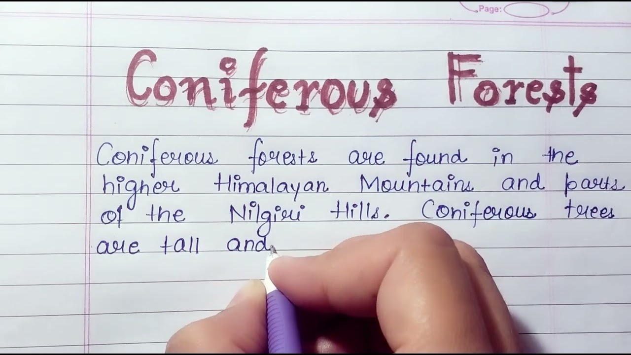 5 lines on Coniferous Forest|Few lines on Coniferous Forest|Essay on Coniferous Forest in English|