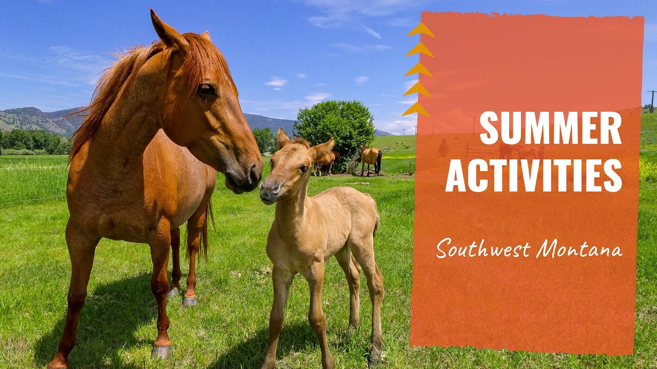 Summer Activities in Southwest Montana