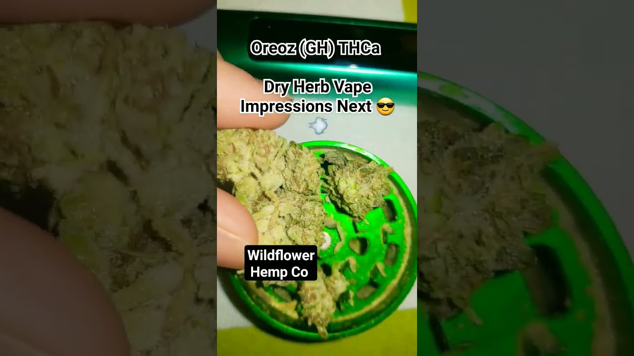 Insane THCa GreenHouse! Dry Herb Vape impressions Next!  #budget #wildflower #fire #supportfarmers