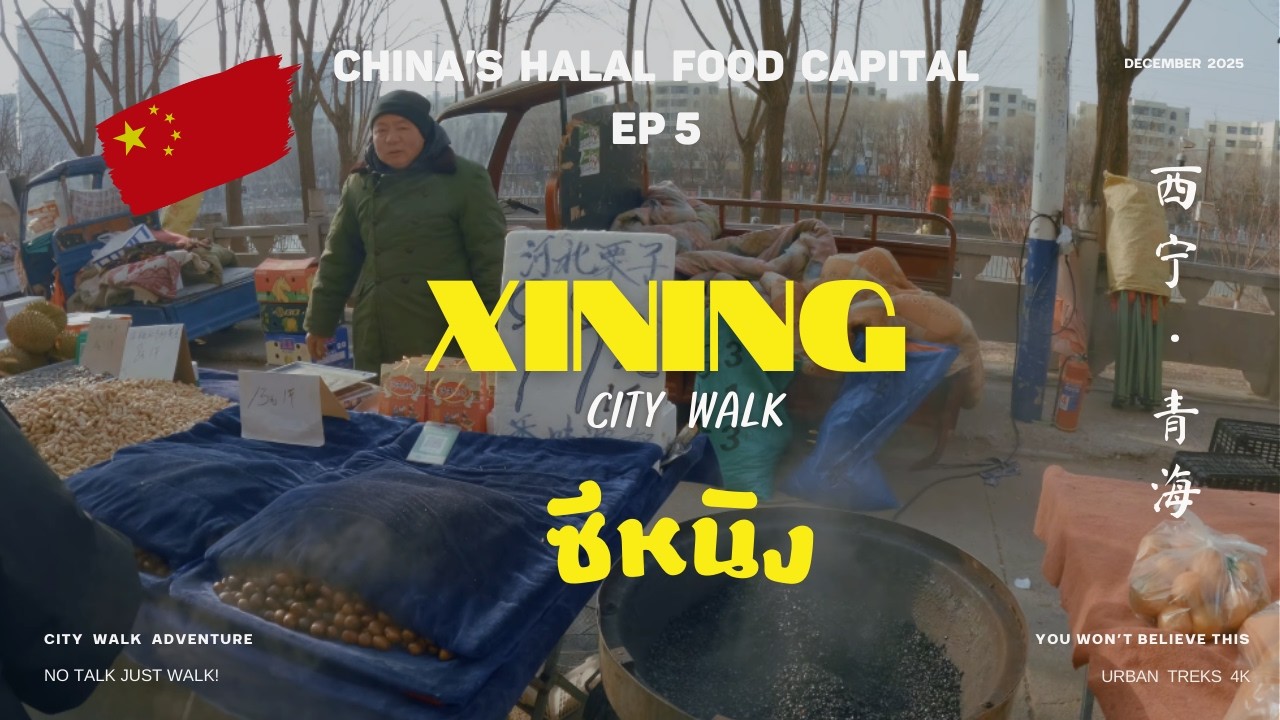 🇨🇳 ซีหนิง [EP 5] Xining in 2025 I Xining City Walk I  Where Central Asia Meets China I 青海，西宁 I China