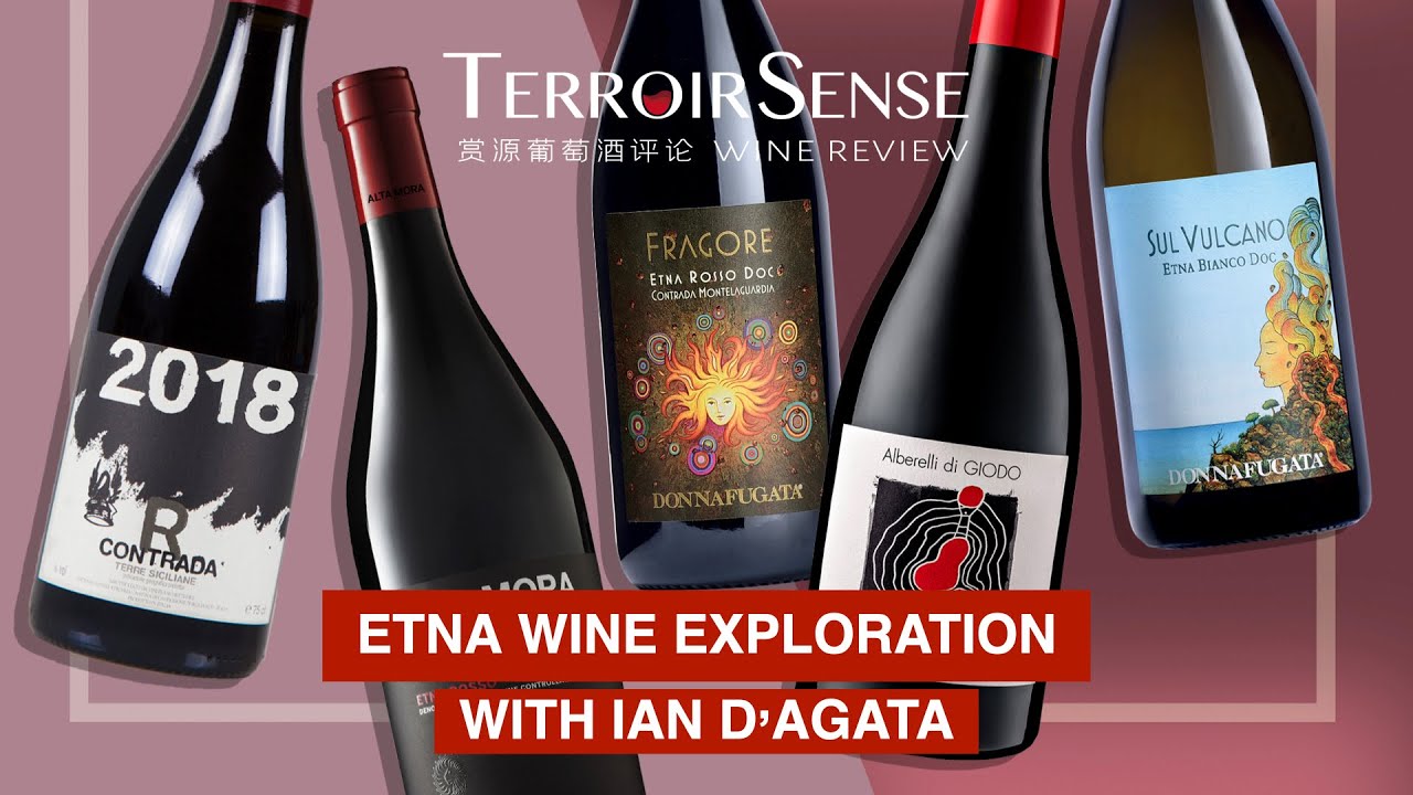 Etna Wine Region Exploration with Ian D'Agata