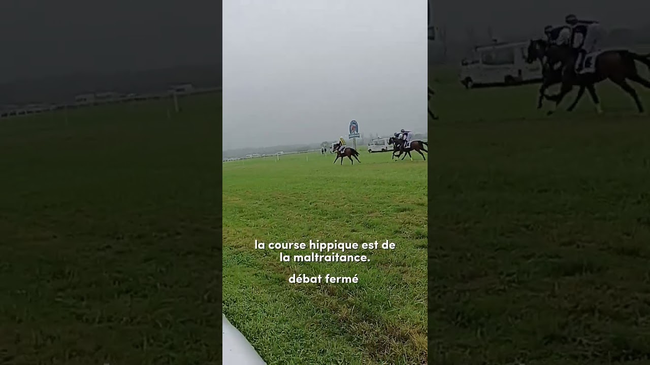#equestrian #cheval #horse #pony #maltraitance 🤷🏻&zwj;♀️🤷🏻&zwj;♀️