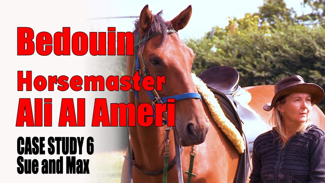 Horsemaster Ali Al Ameri Problem Horses: CASE STUDY 6 'Sue and Max'