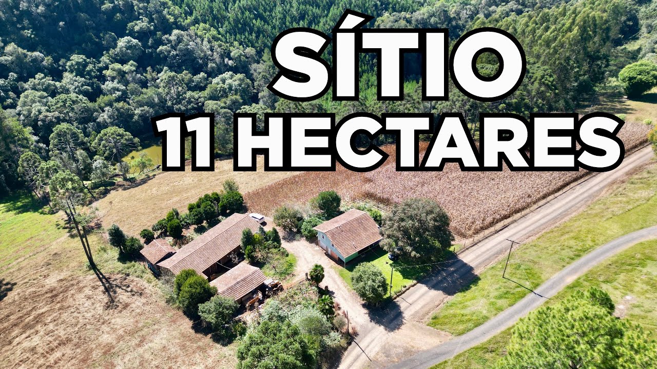 SÍTIO À VENDA EM SANTA CATARINA CASA FRUTAS ARAUCÁRIAS RIO ÁGUA PASTO LAVOURA GALPÕES R$850MIL