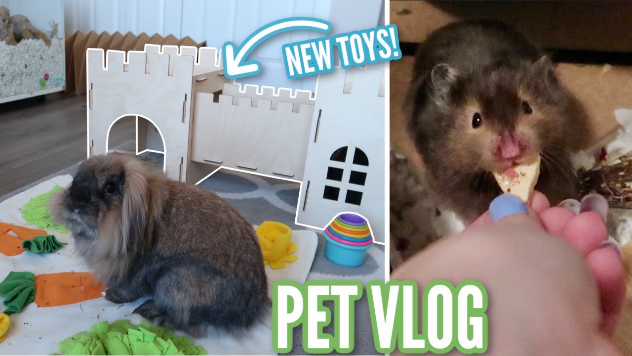 New Bunny Toys & Spying on Lenny