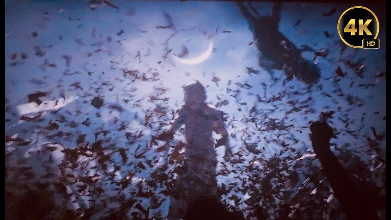 DEVARA MOON FIGHT THEATRE RESPONSE 🔥