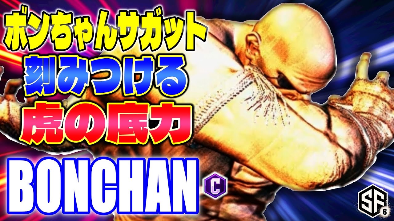 【スト6】ボンちゃんサガット 刻みつける虎の底力 ボンちゃん (サガット) 【SF6】