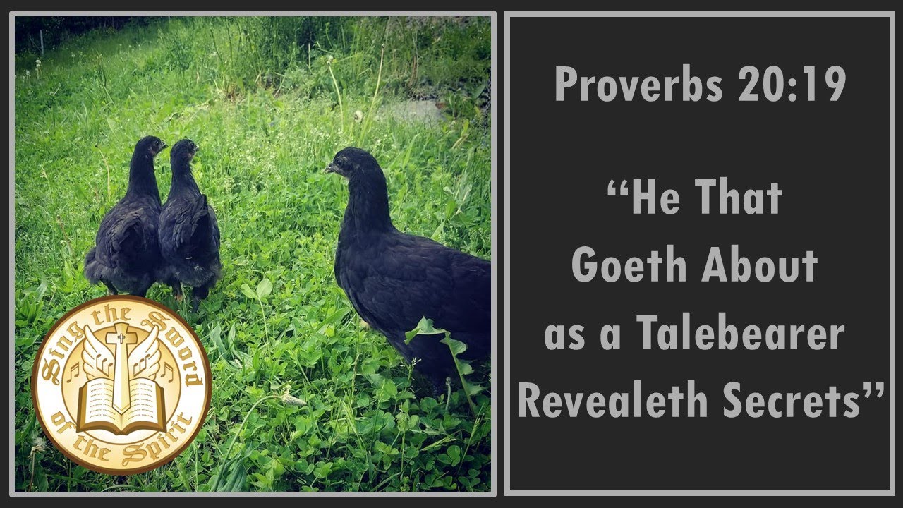 Proverbs 20:19 He that goeth about as a talebearer, KJV singalong w lyrics, key of dm