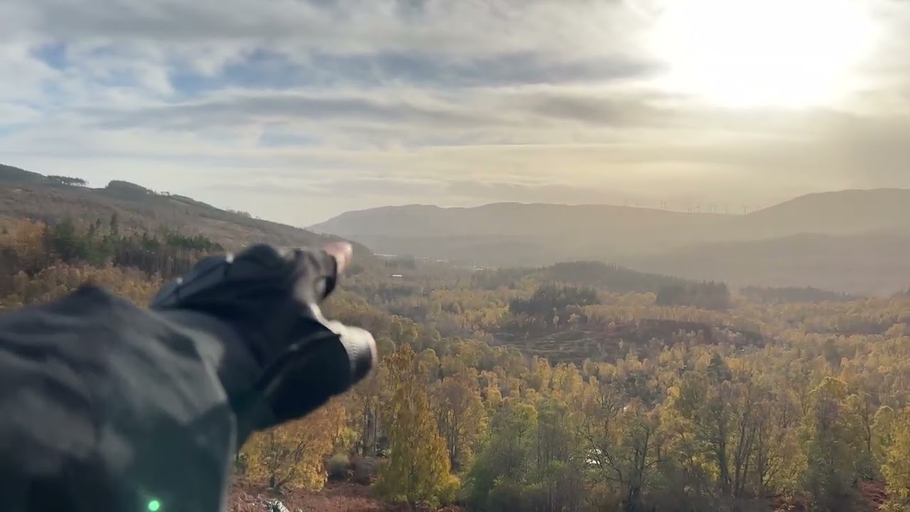 Wyprawa w g&oacute;ry: Spotkanie z kr&oacute;lem lasu i tajemnicze znalezisko