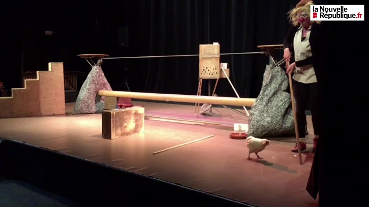 VIDÉO. Poitiers : les poules assurent le spectacle pour « Écoutez voir ! »