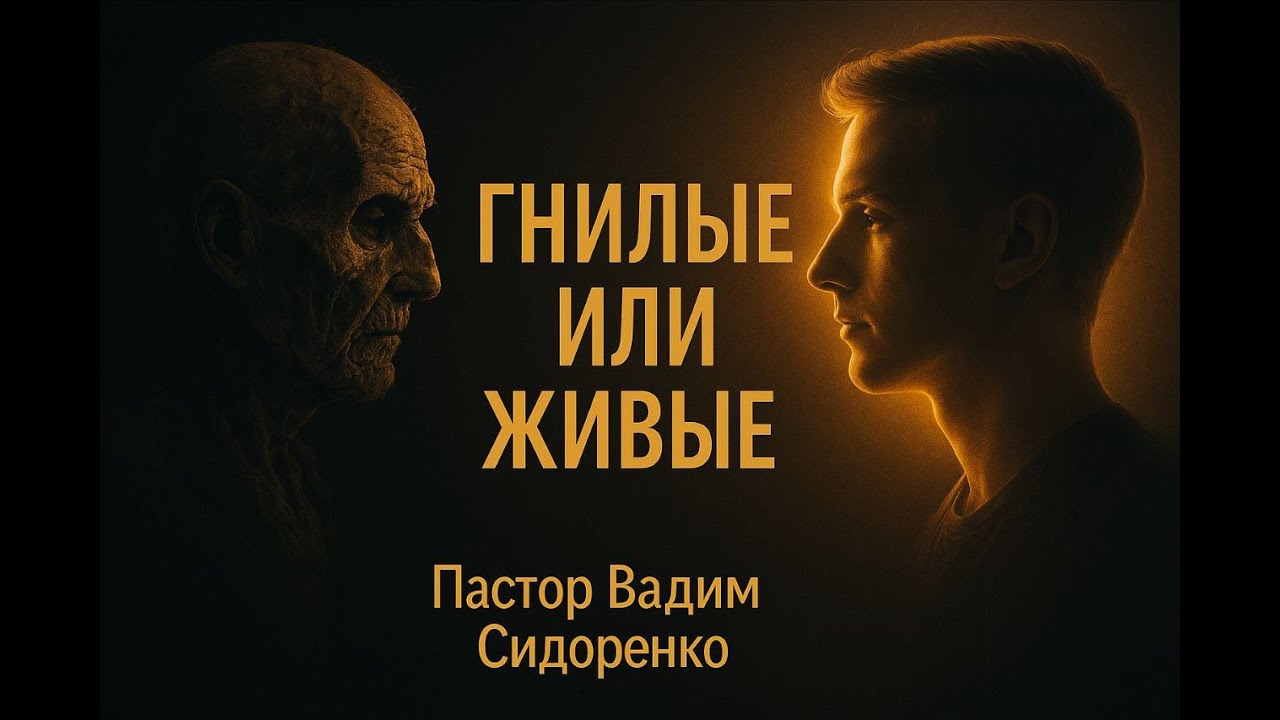 ГНИЛЫЕ ИЛИ ЖИВЫЕ