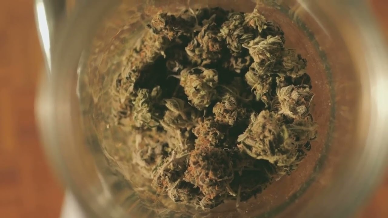Borneol - Exploring the Profound World of Terpenes