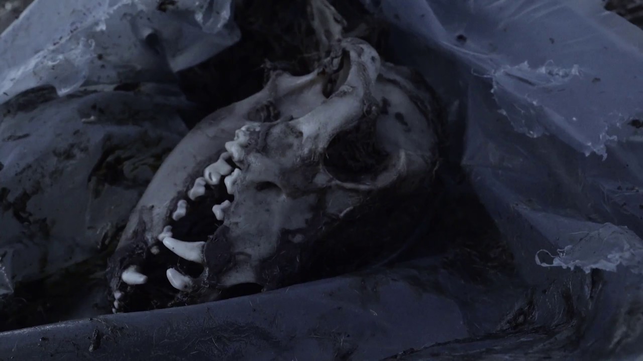 OFFICIAL TRAILER-DEATH RANCH