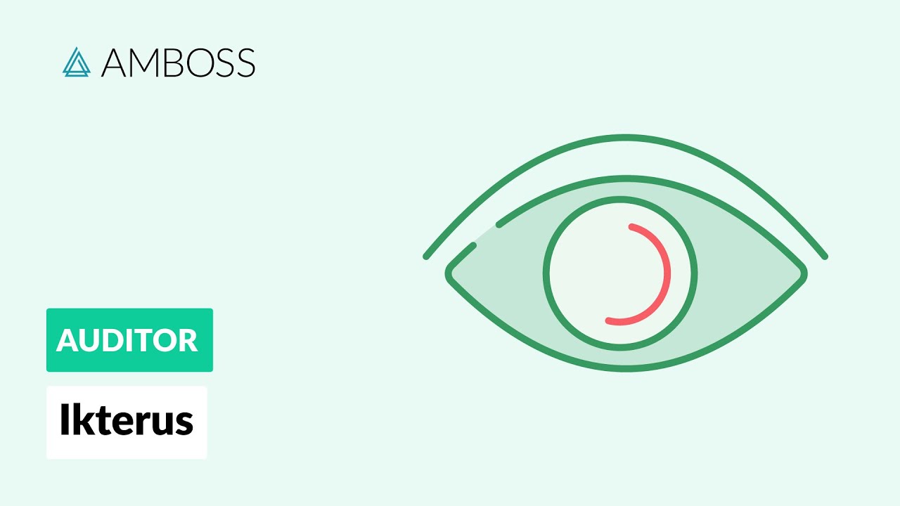 Differentialdiagnostik des Ikterus - AMBOSS Auditor