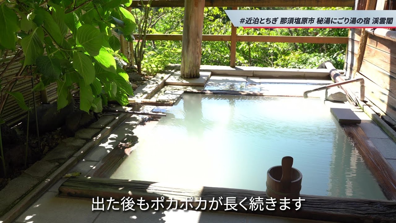 源泉から徒歩1分！鮮度抜群のにごり湯【地元に泊まろう！#近泊とちぎ 12】 渓雲閣