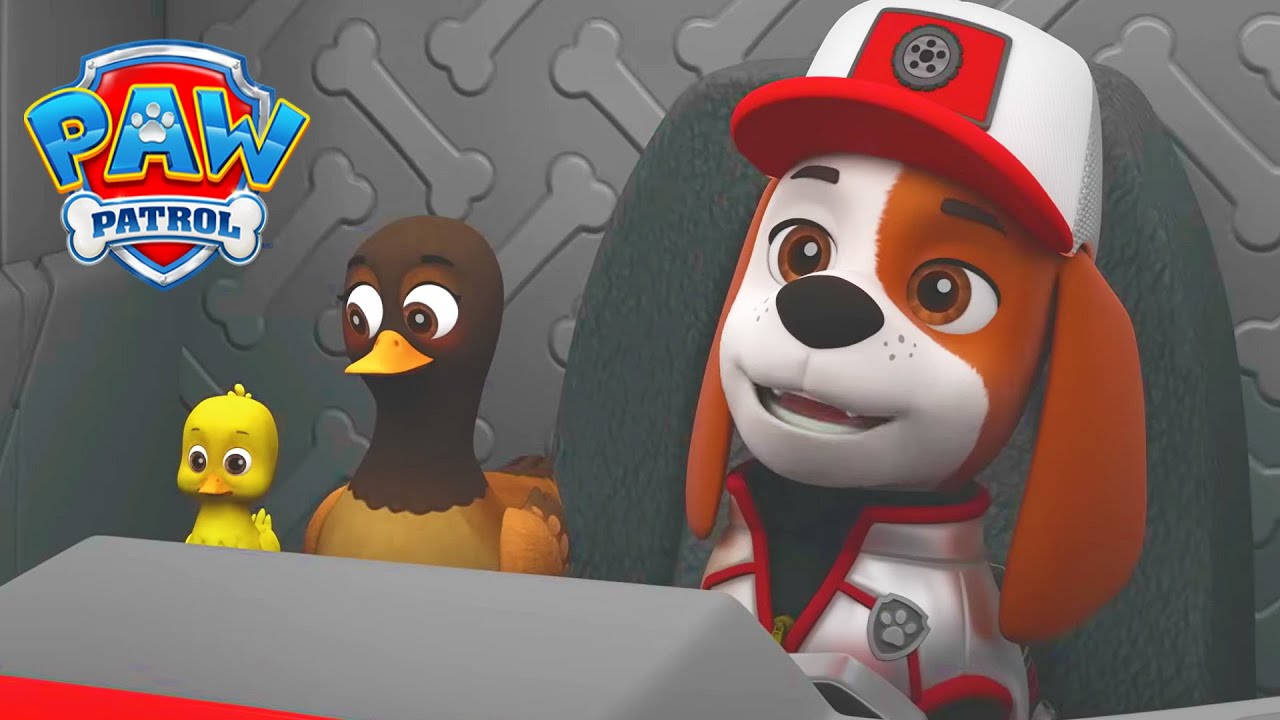 เพื่อนใหม่มาซ่อมเขื่อน! 🐶 - PAW Patrol ภาษาไทย - การ์ตูนสำหรับเด็ก