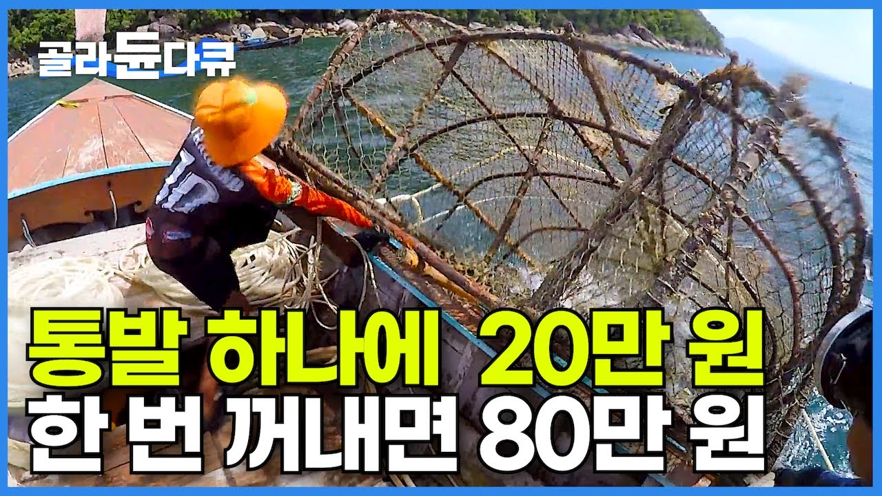 하나에 20만 원짜리 통발 잃어버렸다 꺼냈더니 몸값 비싼, 거대한 생선들이 쏟아지는 풍어!┃잘 만든 통발 하나, 열 어부 안 부럽다!┃태국 리페섬의 어부들┃인간과 바다┃#골라듄다큐