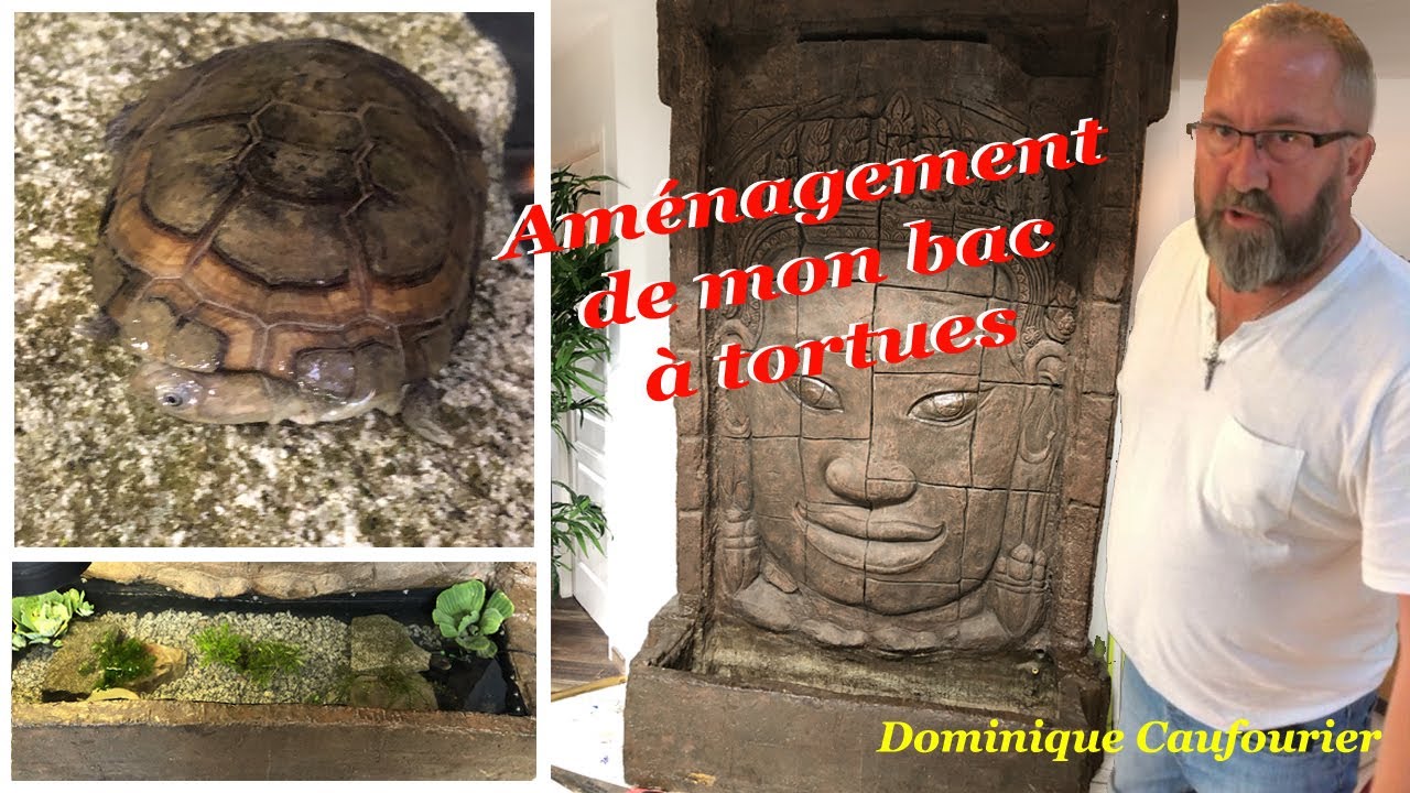 FABRICATION D'UN BAC POUR TORTUES