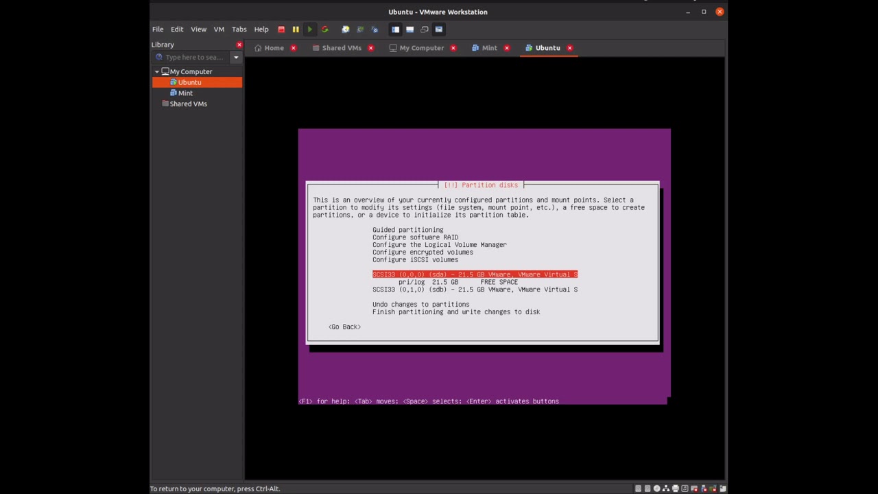 raid install on Ubuntu server