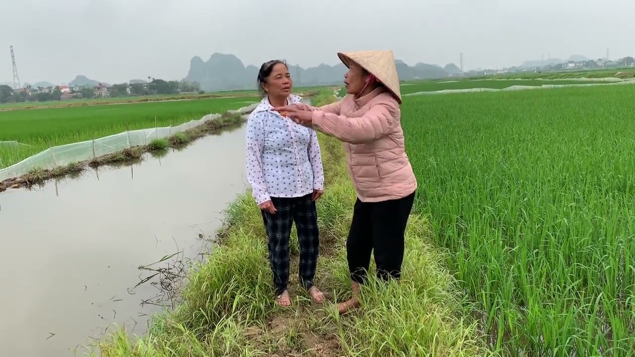 Bà Lan Bốc Hoả Rồi Khi Phát Hiện Mu hải làm vậy